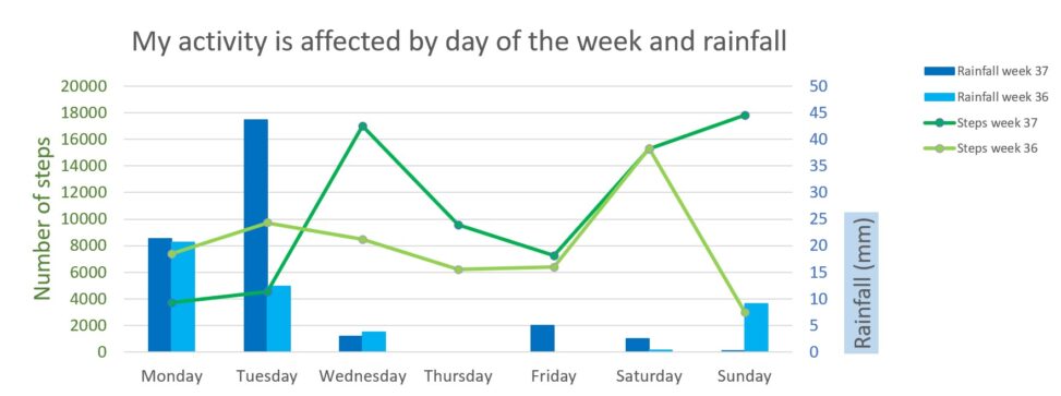 A combo graph displaying rainfall and number steps per day grouped by day of the week