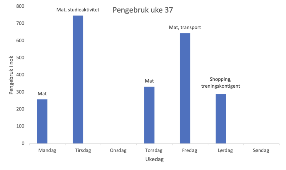 Tabellen viser min personlige pengebruk i uke 37. Den viser også hva pengene er blitt brukt på.