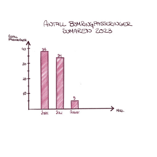 Antall passeringer bomring sommer 2023, privat bil.