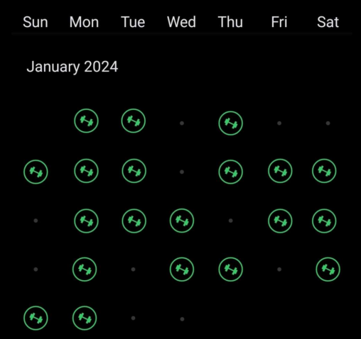 Mine treningsøkter i Januar 2024. Logget med en trenings app.