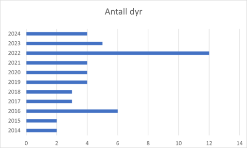 Antall Dyr