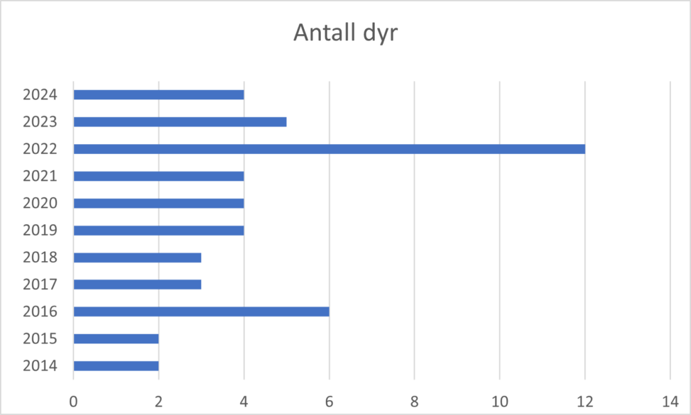 Antall Dyr