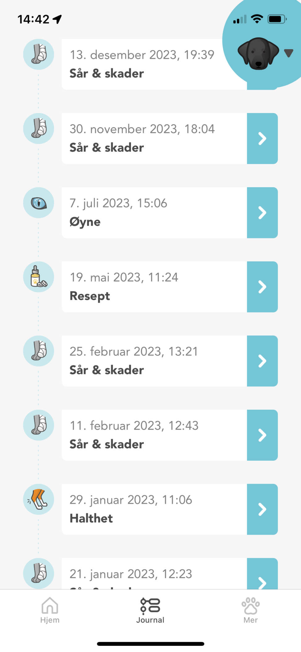 Journaloversikt over henvendelser og timer hos dyrlegen