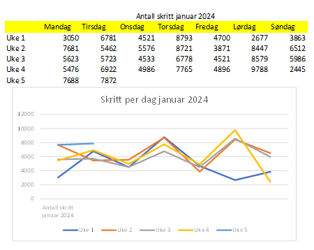 Skritt per dag januar 2024