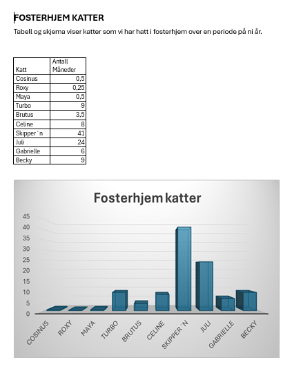 Fosterhjem katt