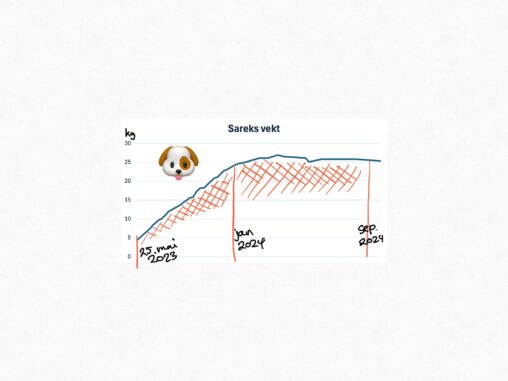 Graph of our dogs weight during her first years