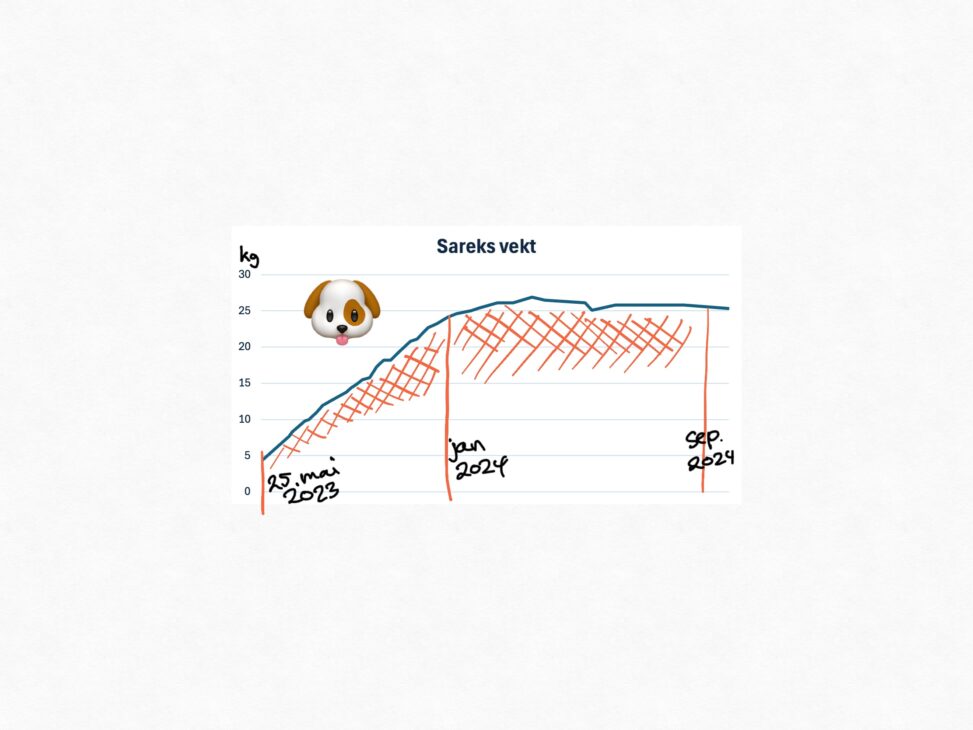 Graph of our dogs weight during her first years