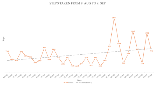 Steps taken during the period 9.aug to 9.sep 2024.