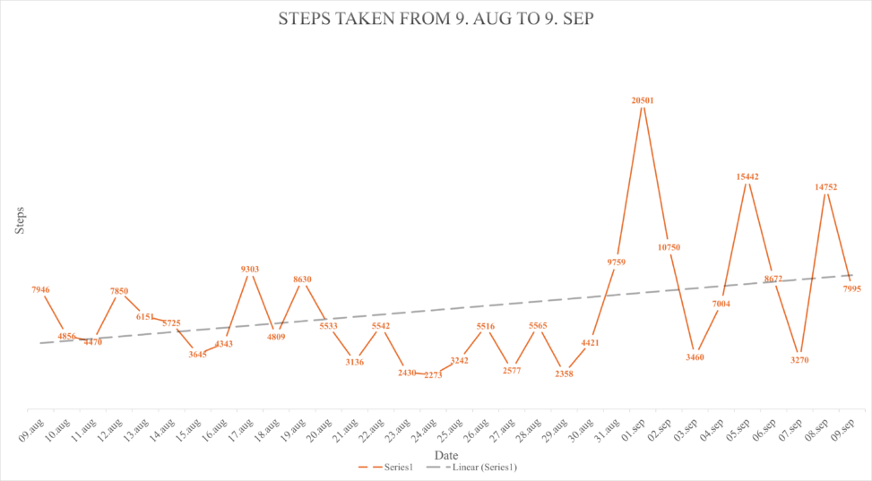 Steps taken during the period 9.aug to 9.sep 2024.