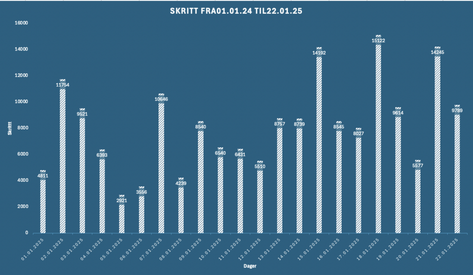 Skritt fra 01.01.25 til 22.01.25