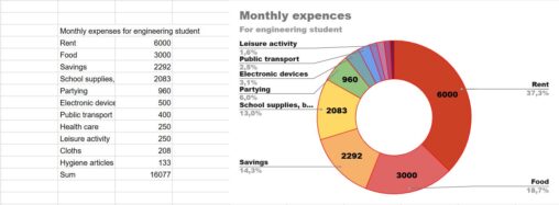 Monthly expenses for engineering student