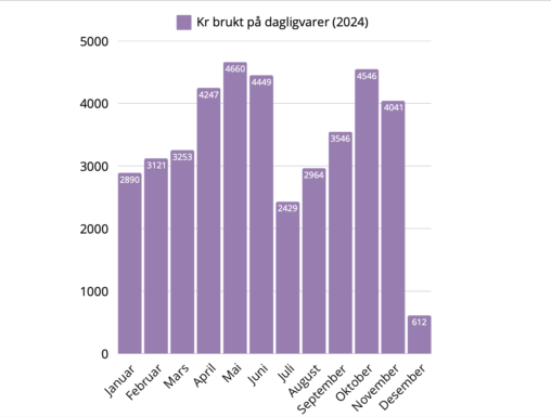 dagligvarebruk