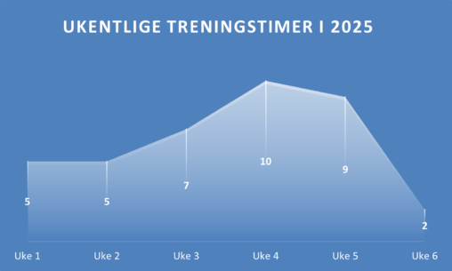 Treningstimer