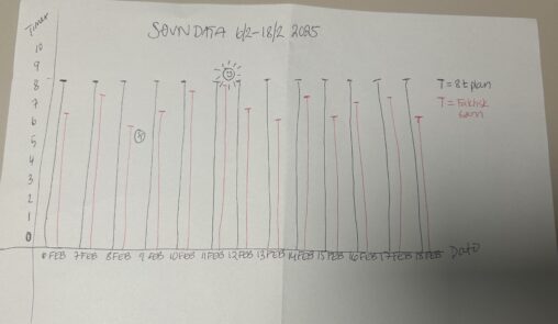 Sleep pattern from 6th of February to 18th of February 2025