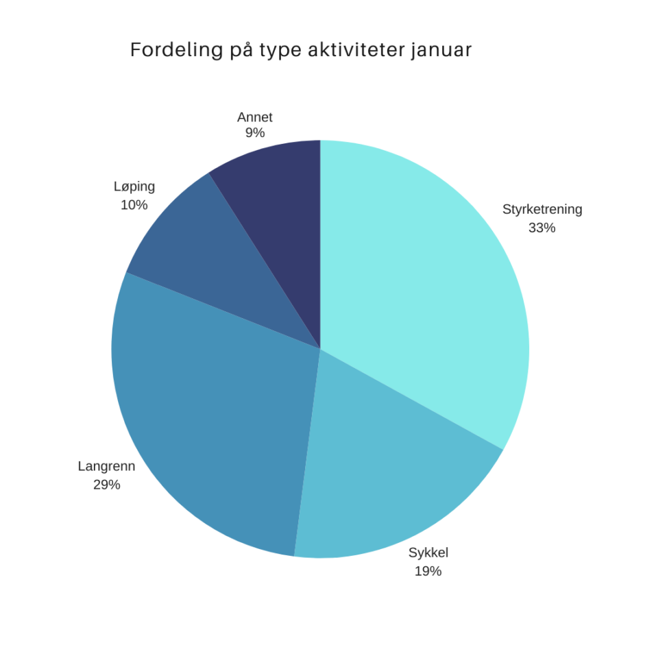 Fordeling aktiviteter januar