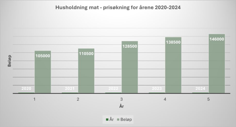 Innkjøp til husholdning for årene 2020 til 2024