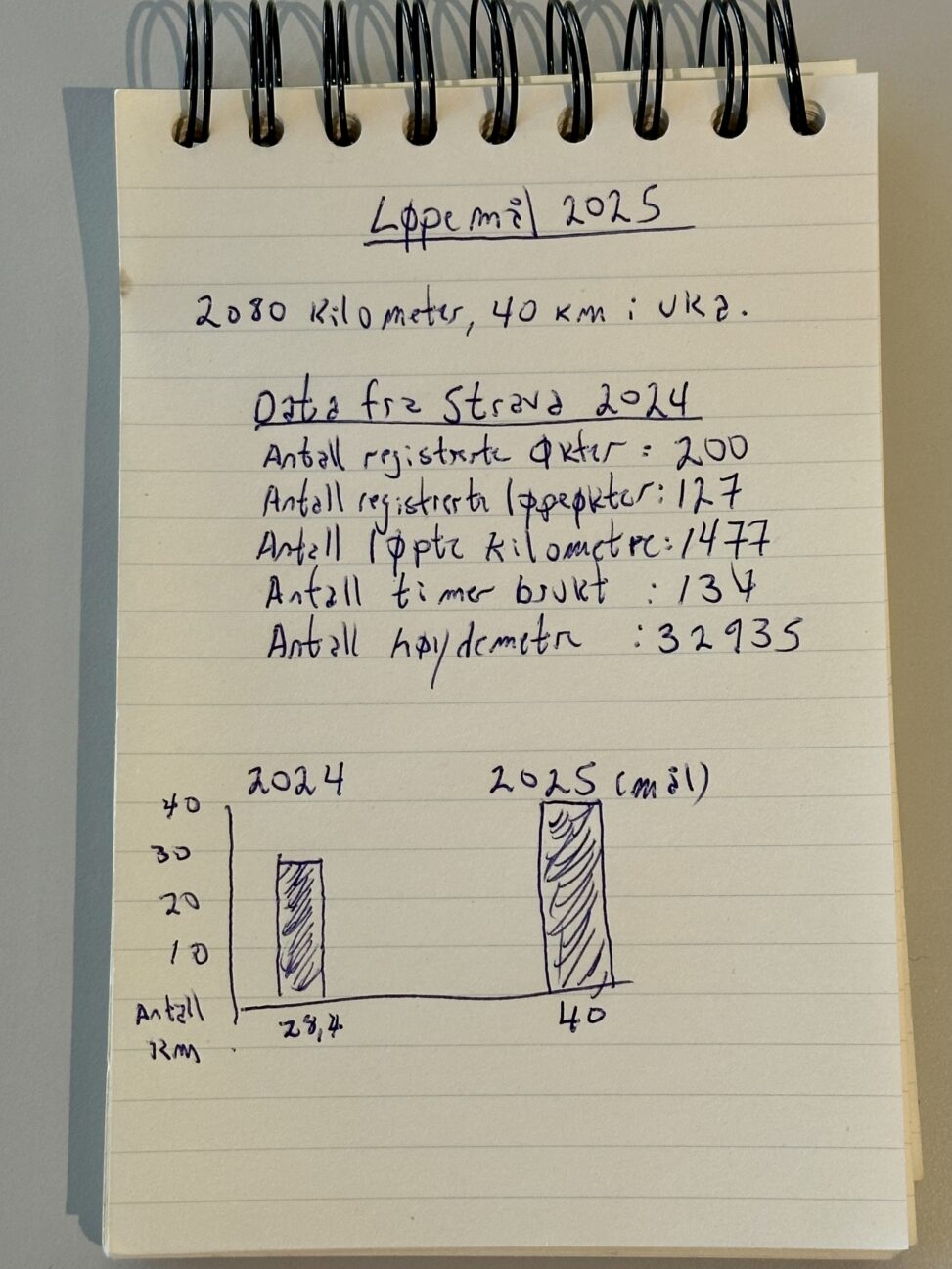 Running data from Strava 2024 and running goals for 2025.