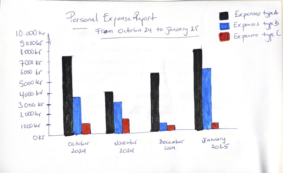 Expense Report