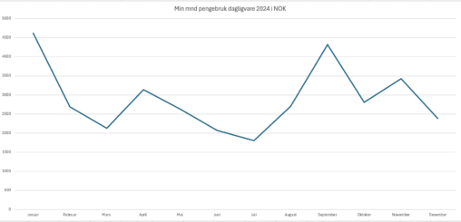 Hvor mye penger jeg brukte på daglivarer per mnd i 2024