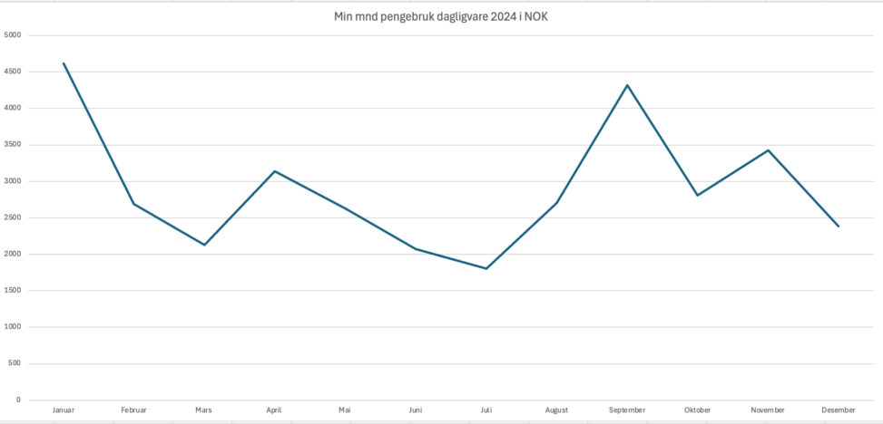 Hvor mye penger jeg brukte på daglivarer per mnd i 2024