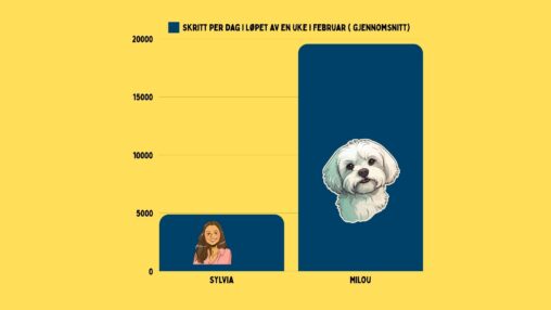 Grafen viser skritt per dag i løpet av en uke i februar for hunden min og meg