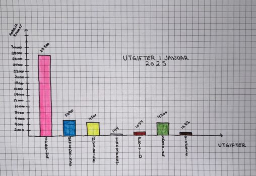 Utgifter for student i januar 2025