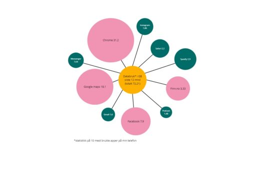 Databruk på telefon siste 12 måneder