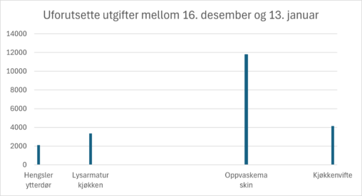 Uforutsette utgifter i huset mellom 16. desember og 13. januar