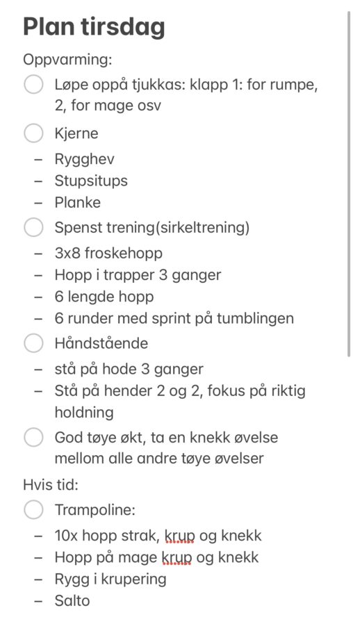 Tørrtrenings økt for unge stupere, har fokus på spenst og kjerne