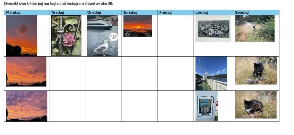 Oversikt instagrambilder