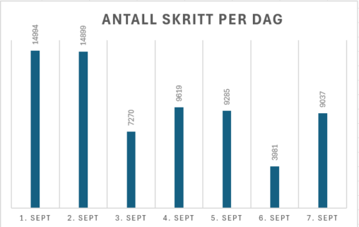 Skritt per dag