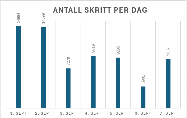 Skritt per dag
