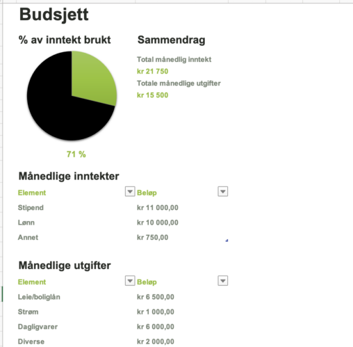 Budsjett for en typisk måned