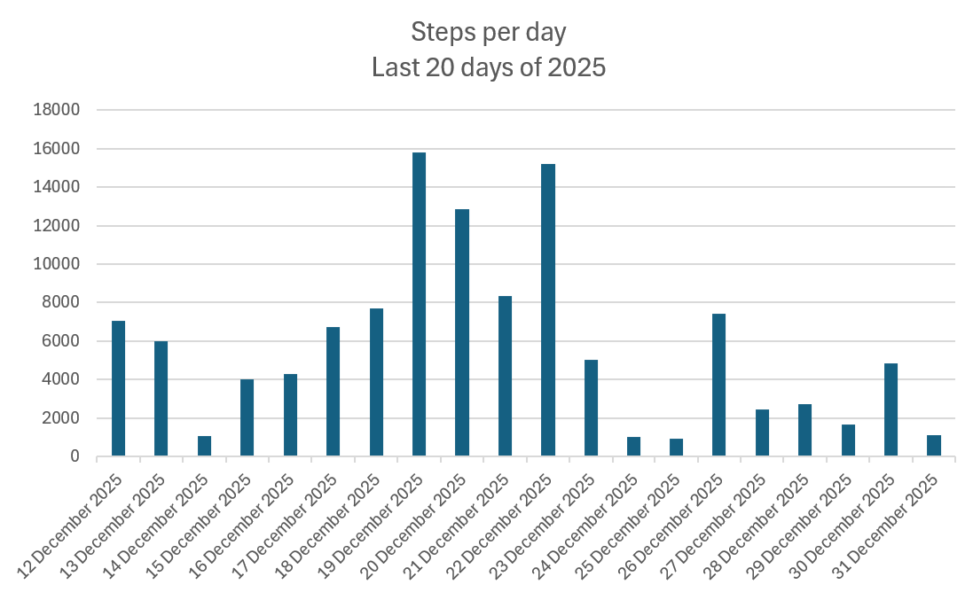 Steps per day Last 20 days of 2025