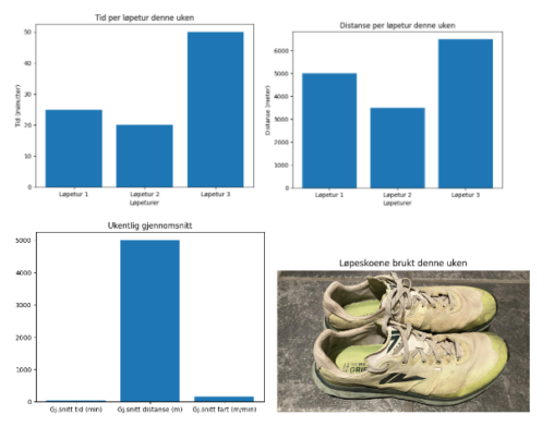 Data for mine løpeturer denne uken bilde