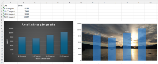 Søylediagram som viser antall skritt gått pr uke i august. 4-10 august 8154 skritt, 11-17 august 7445 skritt, 18-24 august 9038 skritt, 25-31 august 10432 skritt