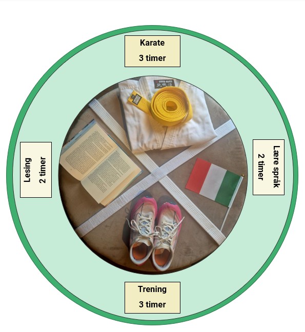 My week of activities illustrated in a sector diagram