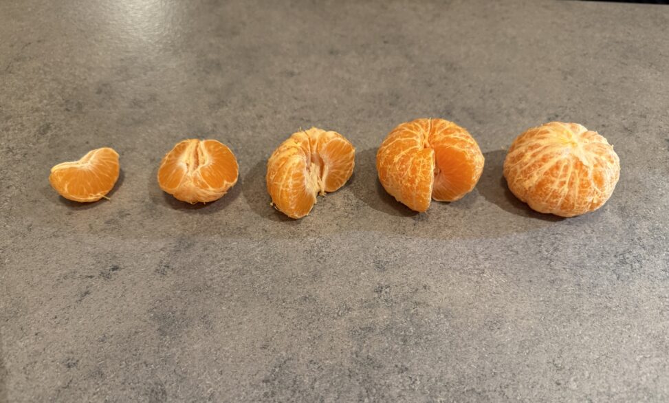 Denne visualiseringen representerer klementiner i forskjellige mengder. Det starter med to klementinbåter og bygger seg oppover til en hel klementin.