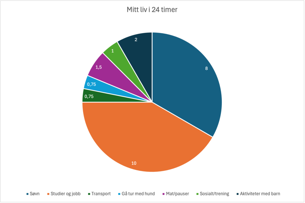 Sirkeldiagram som viser hvordan et døgn på 24 timer fordeler seg mellom søvn, studier og jobb, familie, pauser, transport og andre daglige aktiviteter.