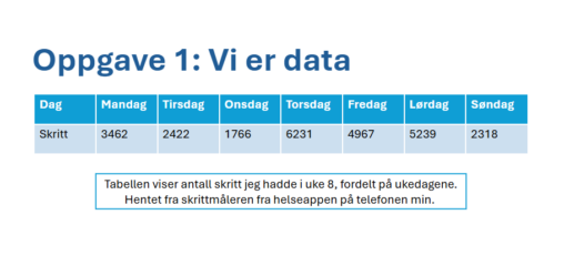 Oppgave 1: Vi er data - skritt