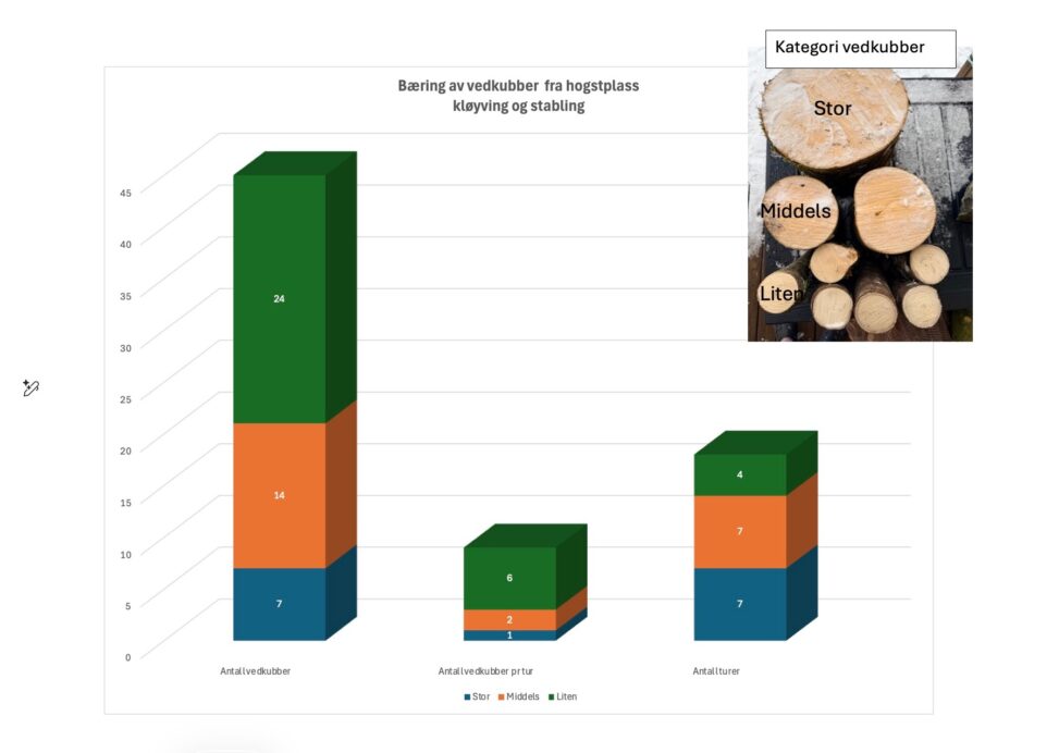 Bæring av vedkubber fra hogstplass til kløyving