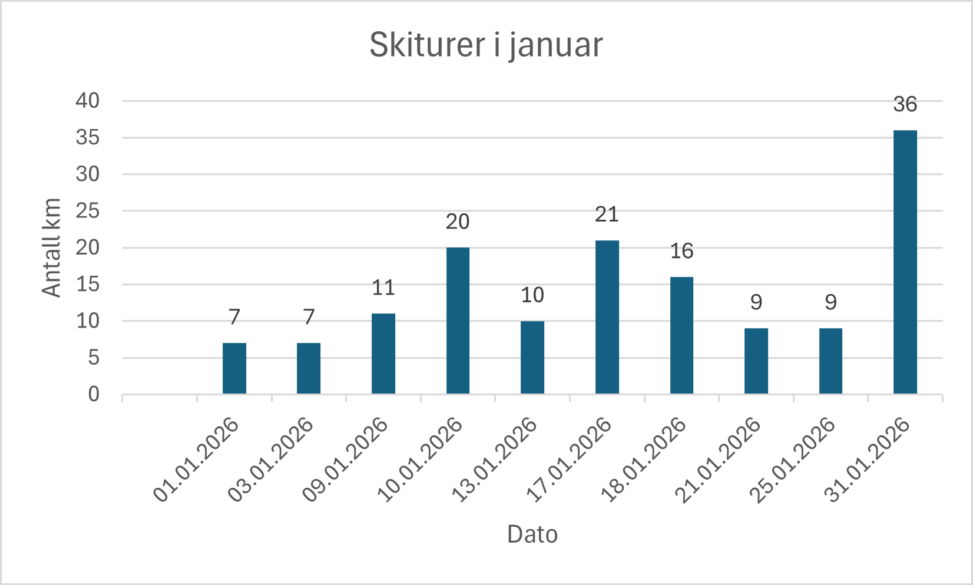 Skiturer i januar