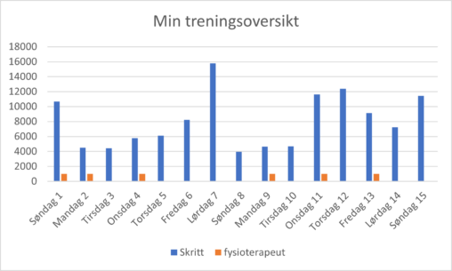 Treningsoversikt
