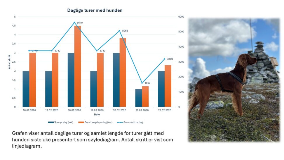 Grafen viser summert antall daglige turer og lengde som søylediagram. Samlet daglige skritt er vist som linjediamgram.