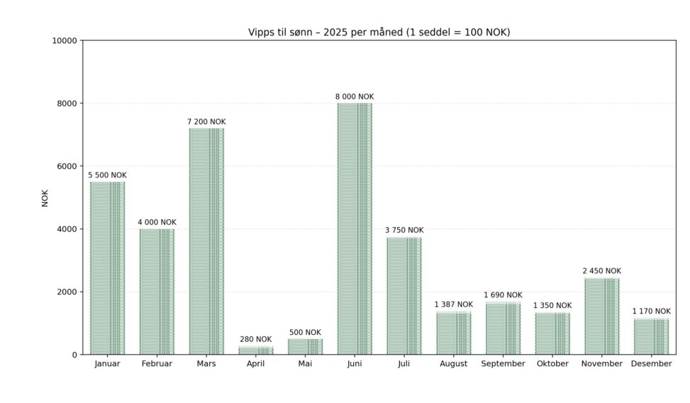 Instant Money Transfer (Norwegian Kroner) by Vipps to my son during 2025