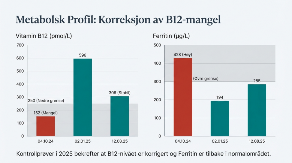 Two side-by-side bar charts showing Vitamin B12 and Ferritin over three test dates. Vitamin B12 (pmol/L) increases from 152 on 04.10.24 (below the 250 lower reference limit) to 596 on 02.01.25 and 306 on 12.08.25 (within range). Ferritin (µg/L) decreases from 428 on 04.10.24 (above the 300 upper reference limit) to 194 on 02.01.25 and 285 on 12.08.25 (within range).