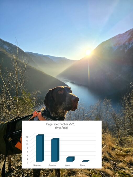 photo of the beautiful weather in Norway this winter, diagram shows days with rain/snow
