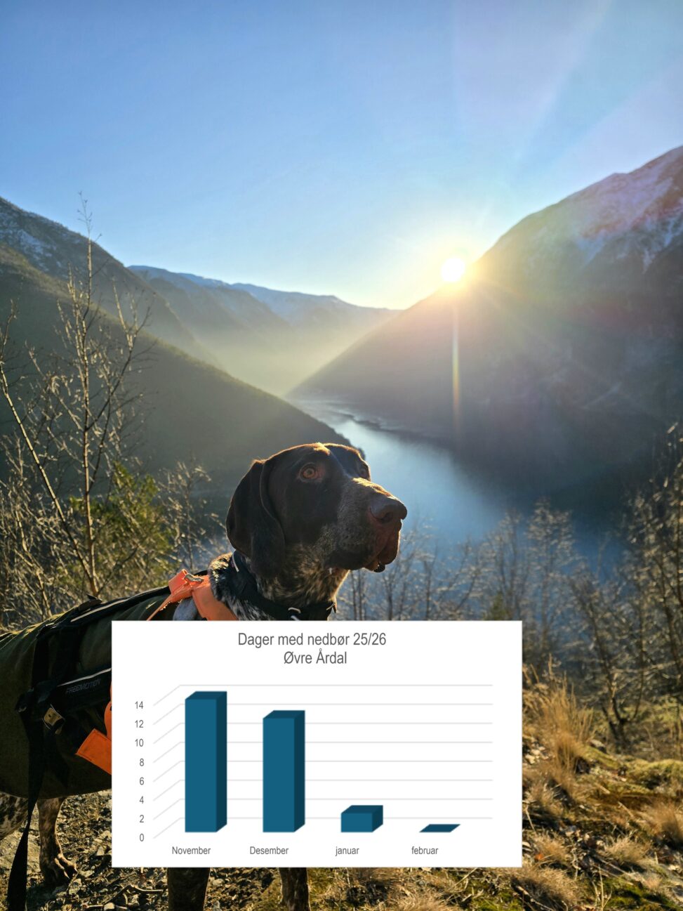 photo of the beautiful weather in Norway this winter, diagram shows days with rain/snow