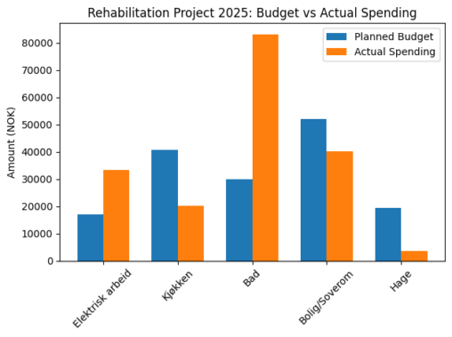 Rehabilitation Project 2025: Budget vs Actual Spending